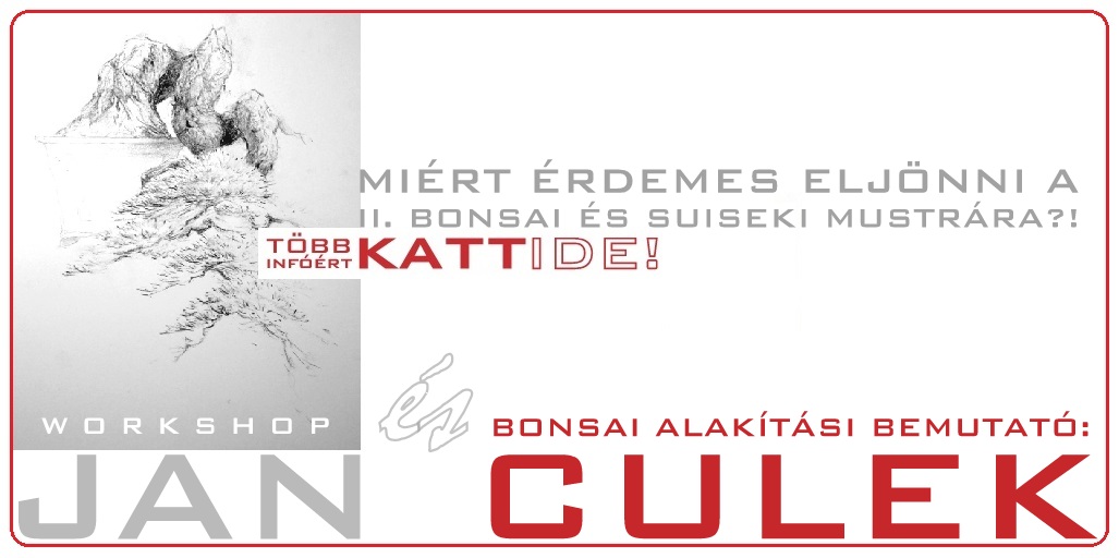 bonsai es suiseki mustra bonsai es suiseki kiallitas az erdi varosi galeriaban hungary marczika bonsai studio